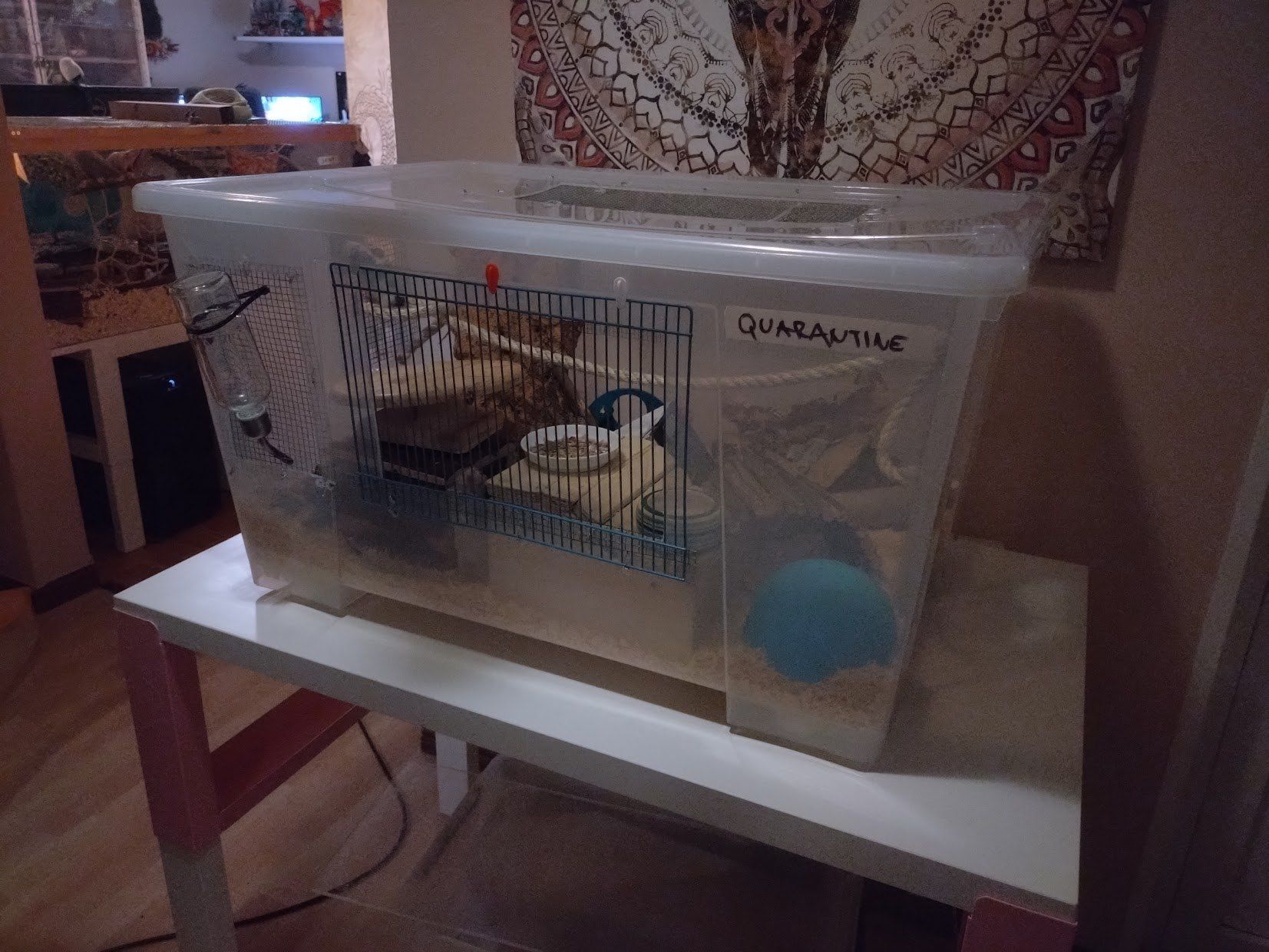 SAMLA-burar 130 liter